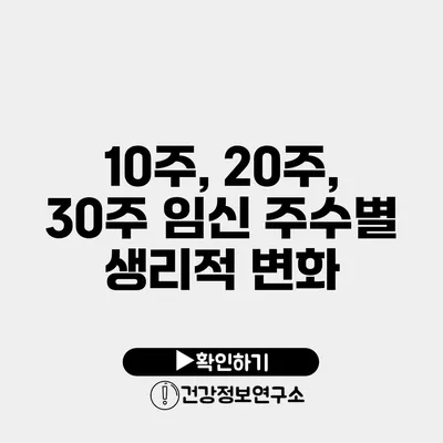 10주, 20주, 30주 임신 주수별 생리적 변화