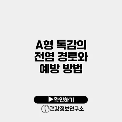 A형 독감의 전염 경로와 예방 방법