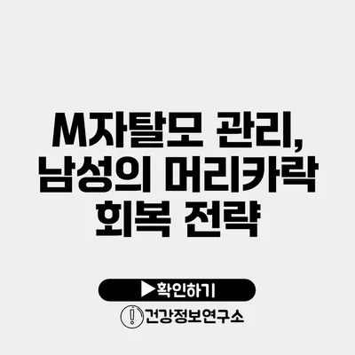 M자탈모 관리, 남성의 머리카락 회복 전략