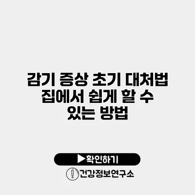 감기 증상 초기 대처법 집에서 쉽게 할 수 있는 방법