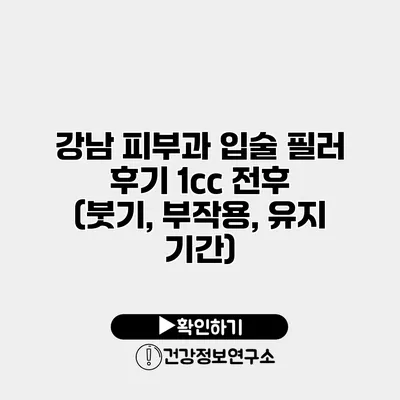 강남 피부과 입술 필러 후기 1cc 전후 (붓기, 부작용, 유지 기간)