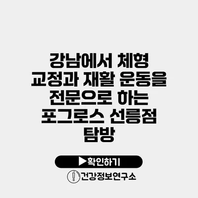 강남에서 체형 교정과 재활 운동을 전문으로 하는 포그로스 선릉점 탐방