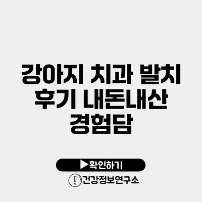 강아지 치과 발치 후기 내돈내산 경험담