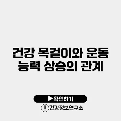 건강 목걸이와 운동 능력 상승의 관계