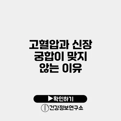 고혈압과 신장 궁합이 맞지 않는 이유