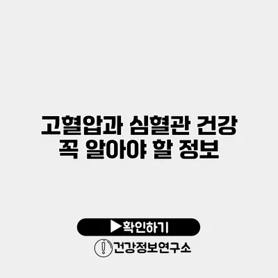 고혈압과 심혈관 건강 꼭 알아야 할 정보