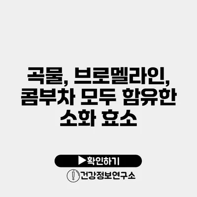 곡물, 브로멜라인, 콤부차 모두 함유한 소화 효소