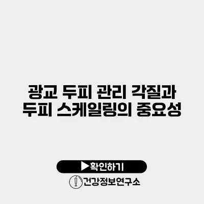 광교 두피 관리 각질과 두피 스케일링의 중요성