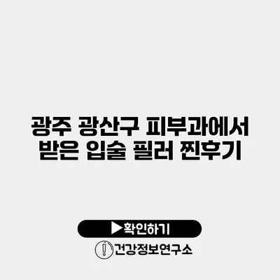 광주 광산구 피부과에서 받은 입술 필러 찐후기