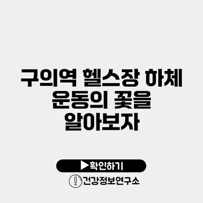 구의역 헬스장 하체 운동의 꽃을 알아보자