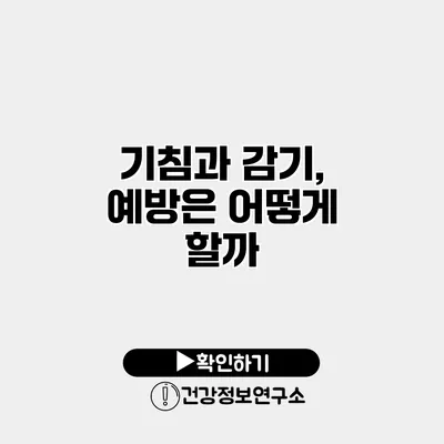 기침과 감기, 예방은 어떻게 할까?