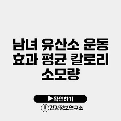 남녀 유산소 운동 효과 평균 칼로리 소모량