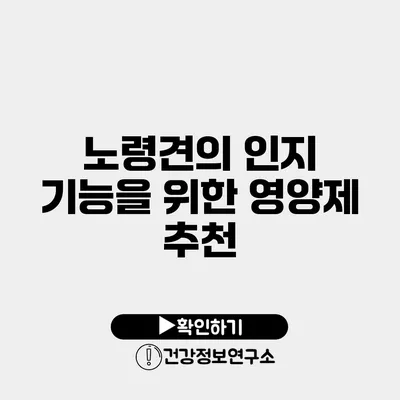 노령견의 인지 기능을 위한 영양제 추천