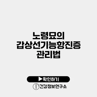 노령묘의 갑상선기능항진증 관리법