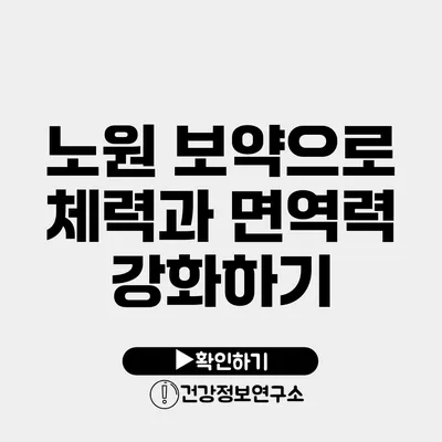 노원 보약으로 체력과 면역력 강화하기