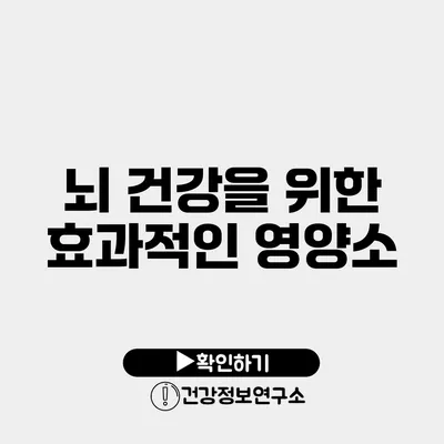 뇌 건강을 위한 효과적인 영양소