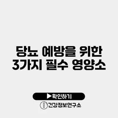 당뇨 예방을 위한 3가지 필수 영양소