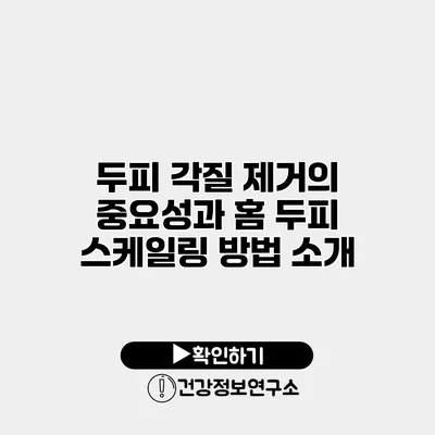 두피 각질 제거의 중요성과 홈 두피 스케일링 방법 소개