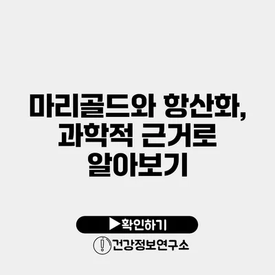 마리골드와 항산화, 과학적 근거로 알아보기
