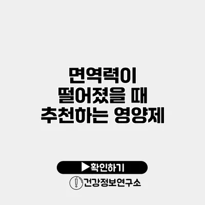 면역력이 떨어졌을 때 추천하는 영양제