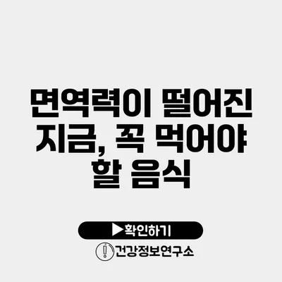 면역력이 떨어진 지금, 꼭 먹어야 할 음식
