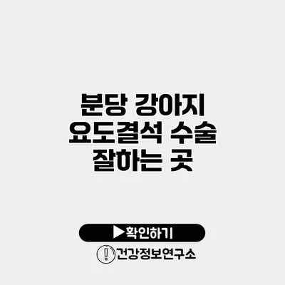 분당 강아지 요도결석 수술 잘하는 곳