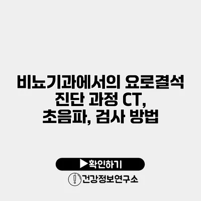 비뇨기과에서의 요로결석 진단 과정 CT, 초음파, 검사 방법