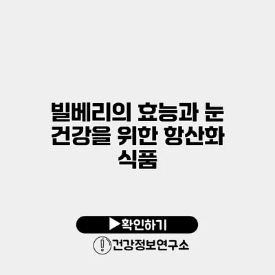 빌베리의 효능과 눈 건강을 위한 항산화 식품