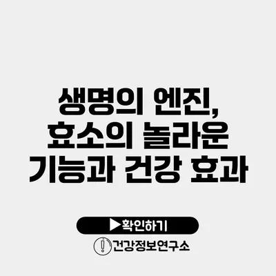 생명의 엔진, 효소의 놀라운 기능과 건강 효과