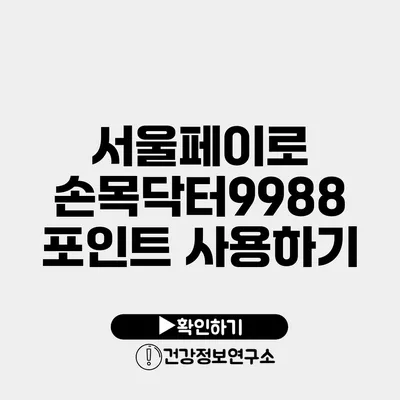 서울페이로 손목닥터9988 포인트 사용하기