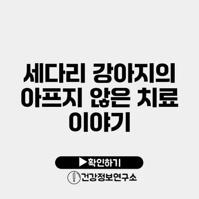 세다리 강아지의 아프지 않은 치료 이야기