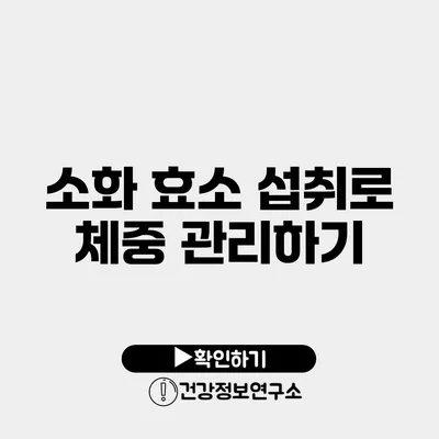 소화 효소 섭취로 체중 관리하기
