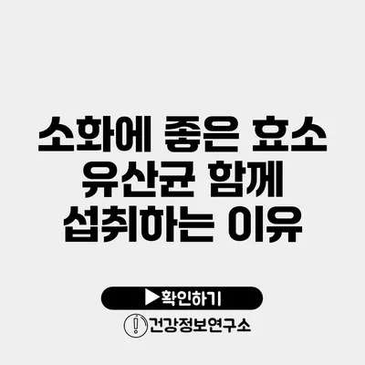 소화에 좋은 효소 유산균 함께 섭취하는 이유