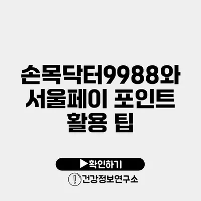 손목닥터9988와 서울페이 포인트 활용 팁