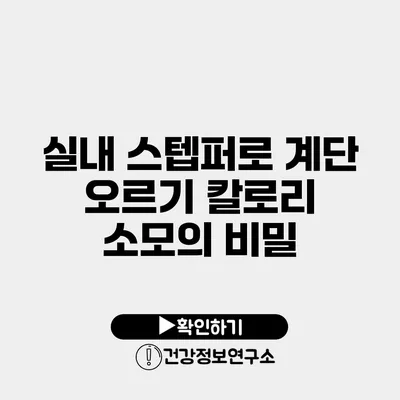 실내 스텝퍼로 계단 오르기 칼로리 소모의 비밀