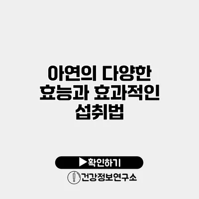 아연의 다양한 효능과 효과적인 섭취법