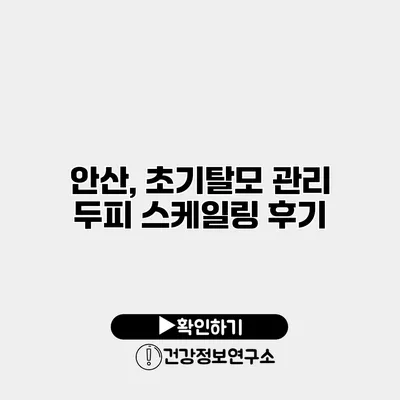 안산, 초기탈모 관리 두피 스케일링 후기