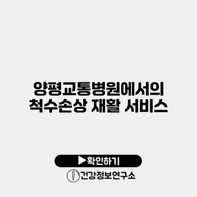 양평교통병원에서의 척수손상 재활 서비스