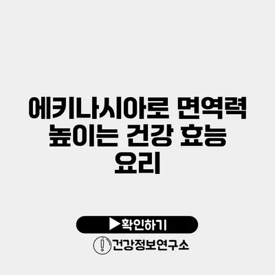 에키나시아로 면역력 높이는 건강 효능 요리