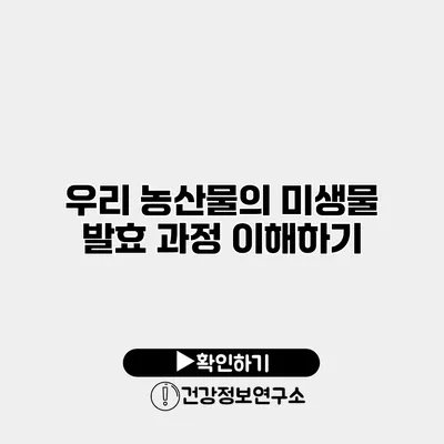 우리 농산물의 미생물 발효 과정 이해하기