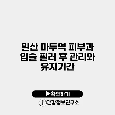 일산 마두역 피부과 입술 필러 후 관리와 유지기간