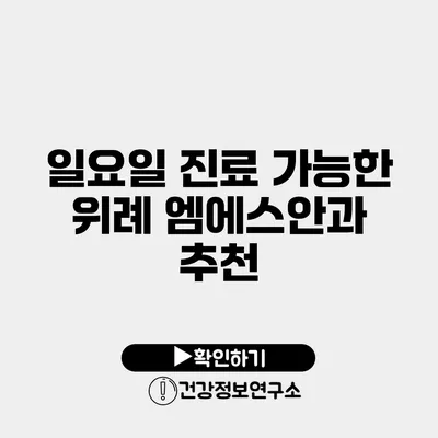 일요일 진료 가능한 위례 엠에스안과 추천