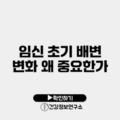 임신 초기 배변 변화 왜 중요한가?