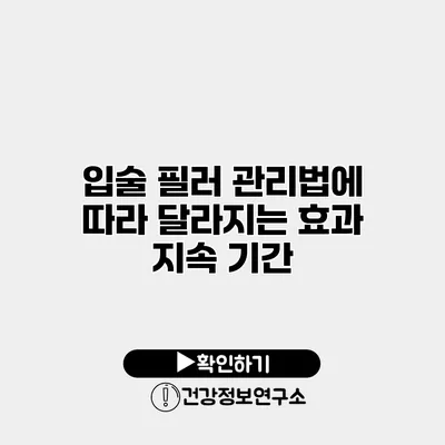 입술 필러 관리법에 따라 달라지는 효과 지속 기간