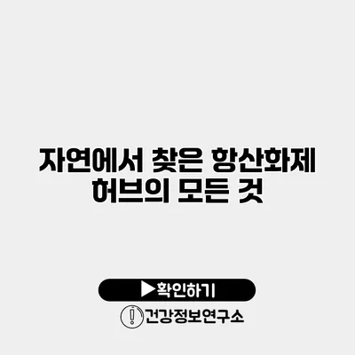 자연에서 찾은 항산화제 허브의 모든 것