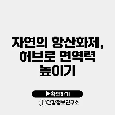 자연의 항산화제, 허브로 면역력 높이기