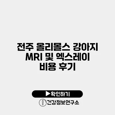 전주 올리몰스 강아지 MRI 및 엑스레이 비용 후기