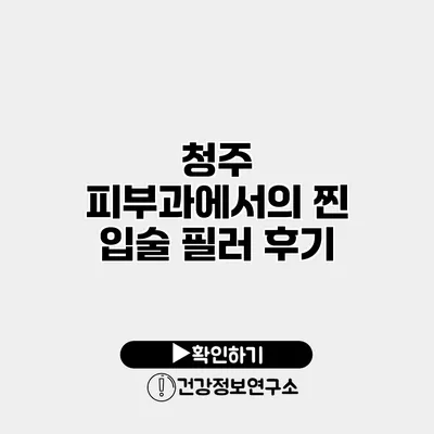 청주 피부과에서의 찐 입술 필러 후기