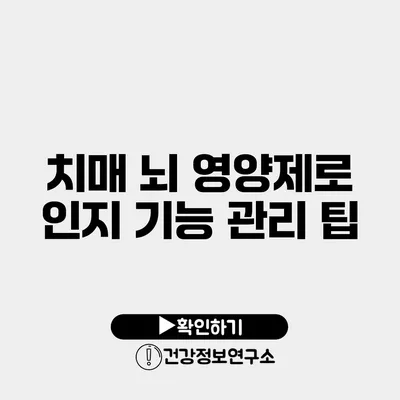 치매 뇌 영양제로 인지 기능 관리 팁