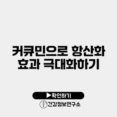 커큐민으로 항산화 효과 극대화하기